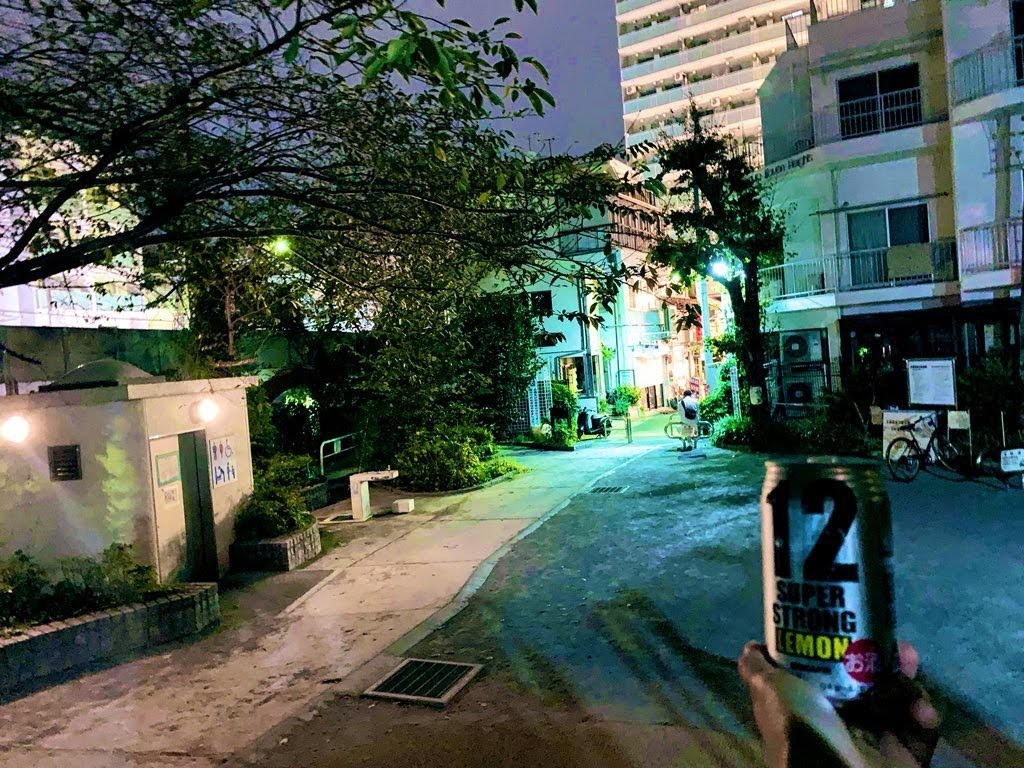 f:id:hatyone:20191231144643j:plain