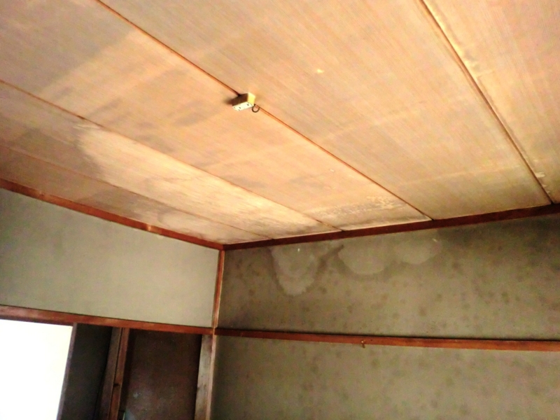f:id:haucomi:20100912130316j:image:w360