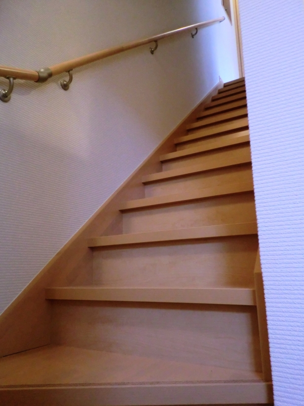 f:id:haucomi:20120310124040j:image:w360
