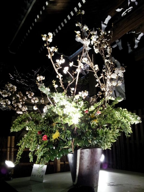 f:id:haucomi:20120314191039j:image:w360