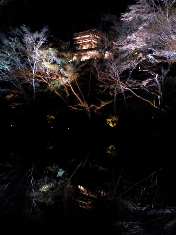 f:id:haucomi:20120314194150j:image:w360