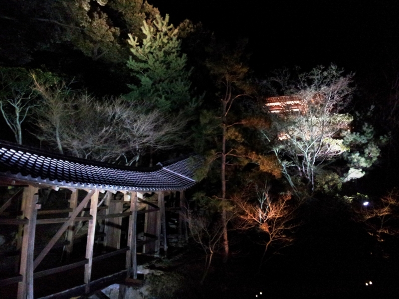 f:id:haucomi:20120314194358j:image:w360
