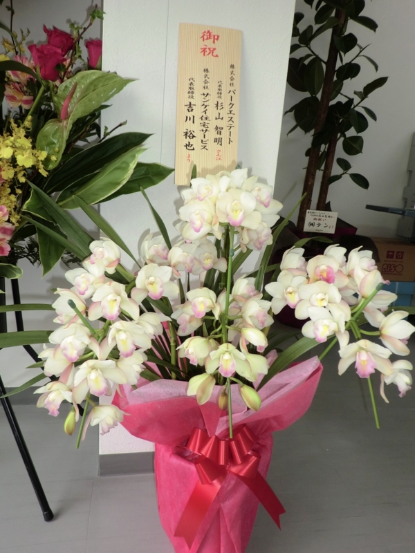 f:id:haucomi:20120330135209j:image:w360