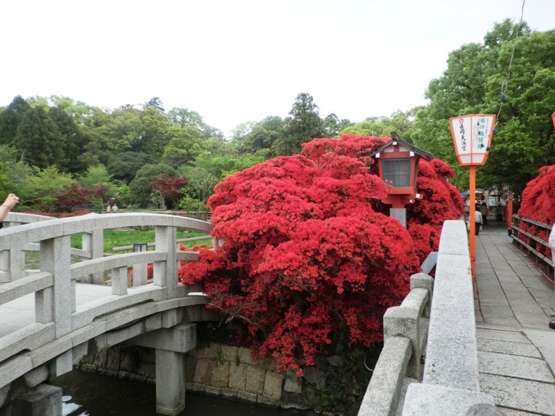 f:id:haucomi:20120501141624j:image:w360