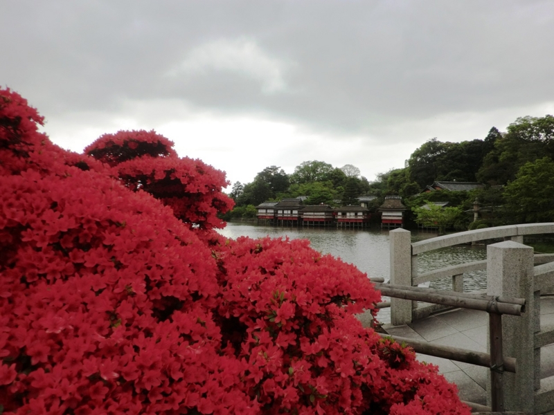 f:id:haucomi:20120501141633j:image:w360