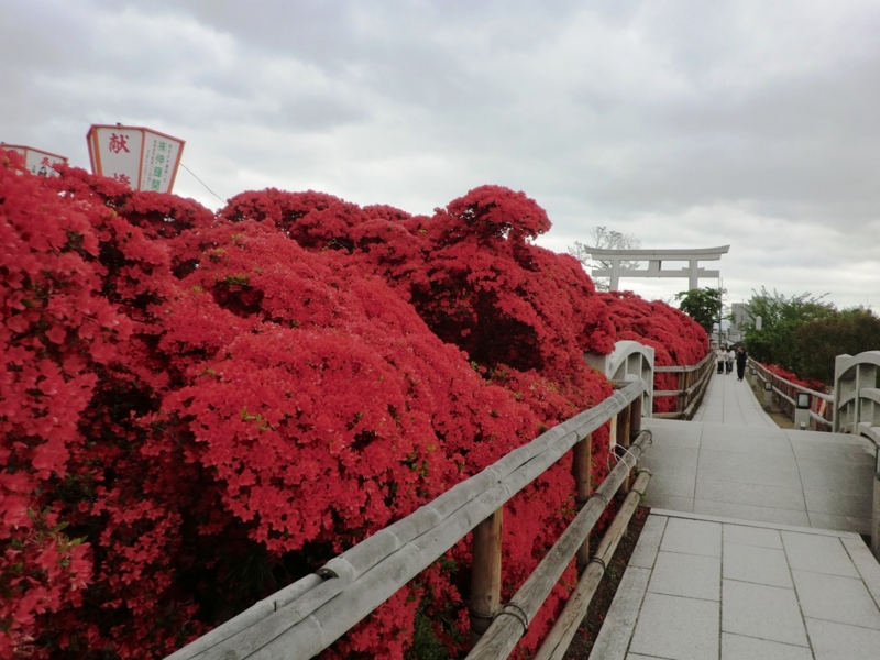 f:id:haucomi:20120501141806j:image:w360