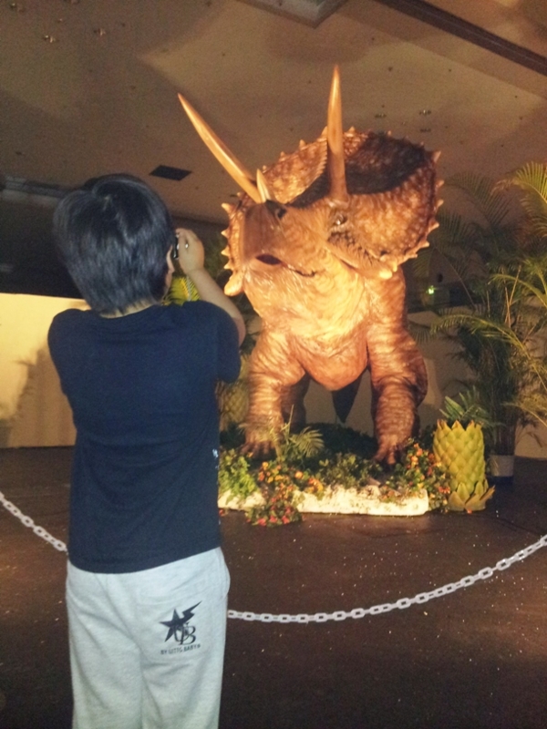 f:id:haucomi:20120502145803j:image:w360