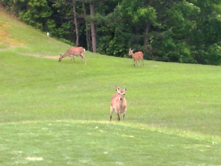 f:id:haucomi:20120523161418j:image:w360