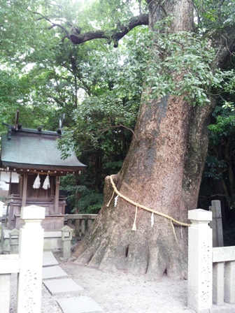 f:id:haucomi:20120815120100j:image:w360