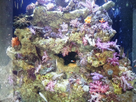 f:id:haucomi:20120904120224j:image:w360