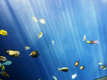 f:id:haucomi:20120904120238j:image:w360
