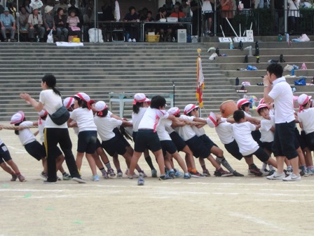 f:id:haucomi:20120929135651j:image:w360