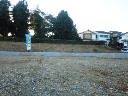 f:id:haucomi:20121213154851j:image:w360