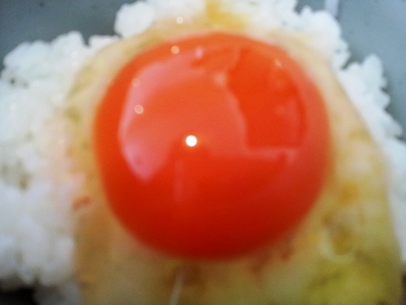 f:id:haucomi:20130210122211j:image:w360
