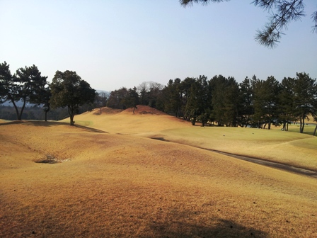 f:id:haucomi:20130306144447j:image:w360