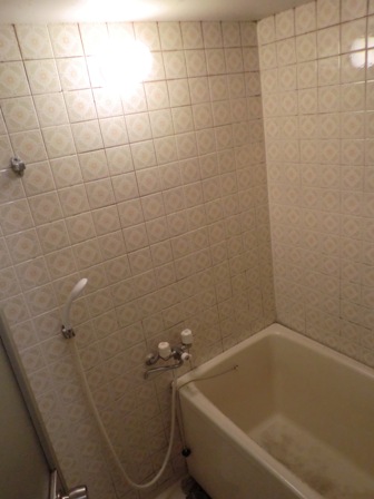 f:id:haucomi:20130326101120j:image:w360