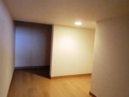 f:id:haucomi:20130413143725j:image:w360