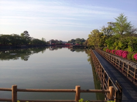 f:id:haucomi:20130425065650j:image:w360