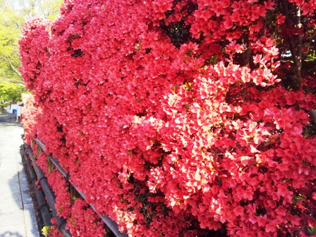 f:id:haucomi:20130425070348j:image:w360