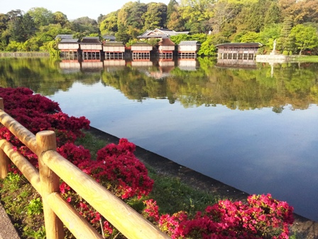 f:id:haucomi:20130425070432j:image:w360