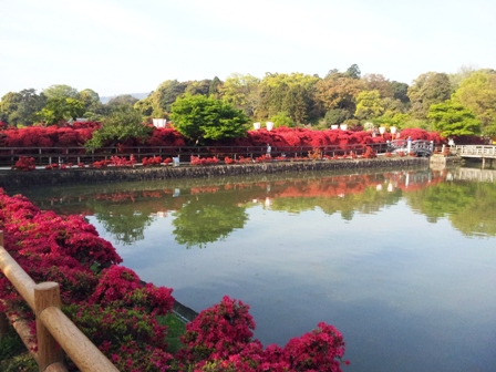 f:id:haucomi:20130425070552j:image:w360