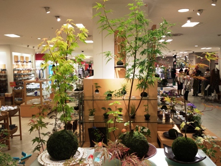 f:id:haucomi:20130607111633j:image:w360