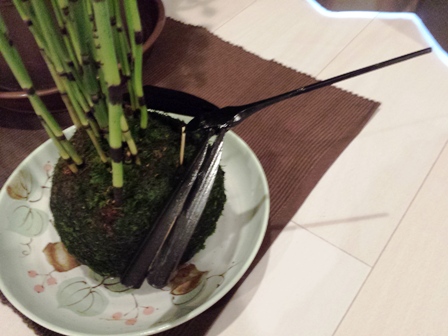 f:id:haucomi:20130607133154j:image:w360
