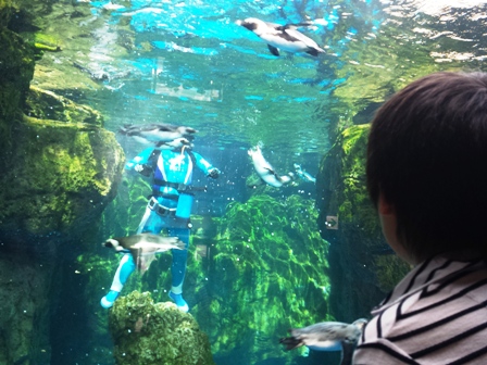 f:id:haucomi:20130612153317j:image:w360