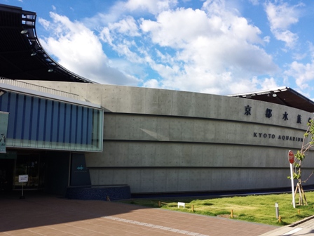 f:id:haucomi:20130612164913j:image:w360