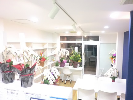 f:id:haucomi:20140112190210j:image:w360