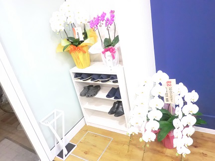 f:id:haucomi:20140112190311j:image:w360