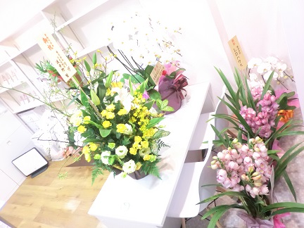 f:id:haucomi:20140112190346j:image:w360