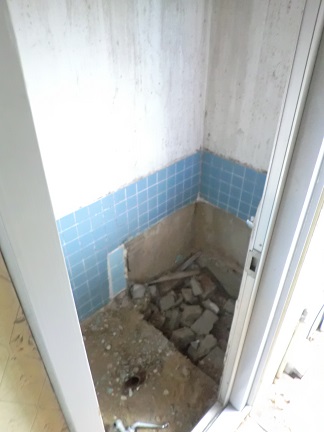 f:id:haucomi:20140117131410j:image:w360
