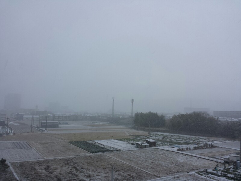 f:id:haucomi:20140119070801j:image:w360