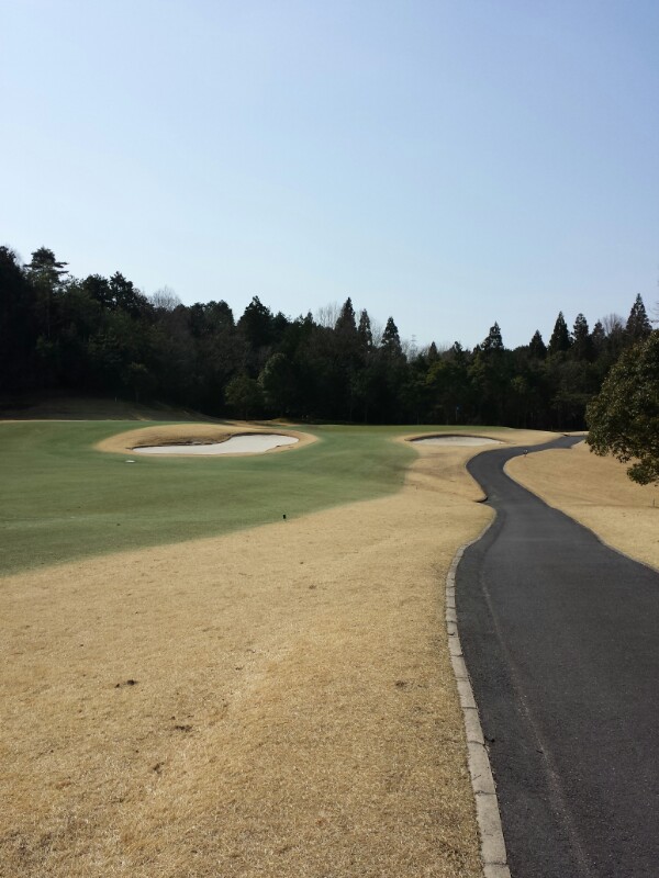 f:id:haucomi:20140319095701j:image:w360