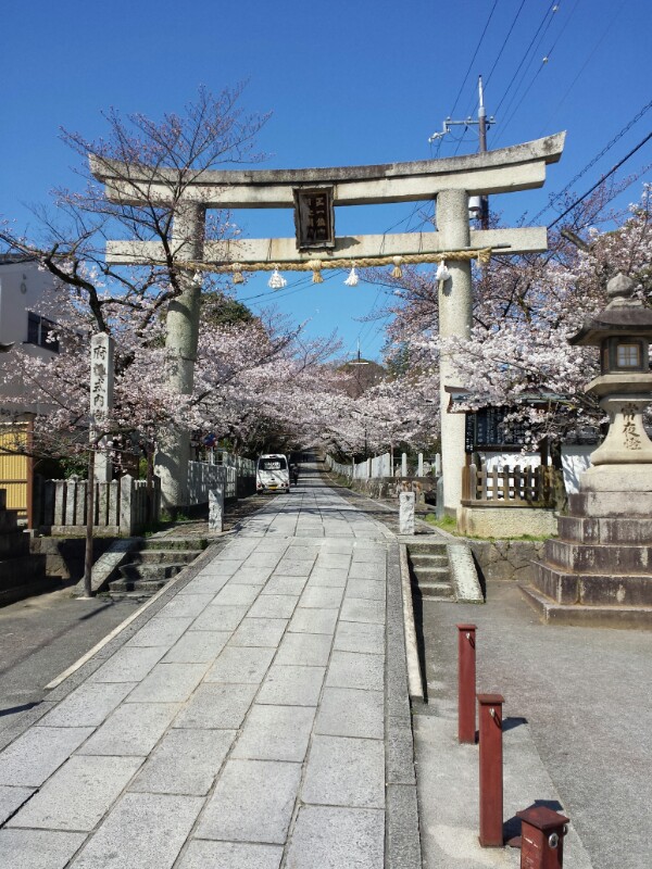 f:id:haucomi:20140331100929j:image:w360