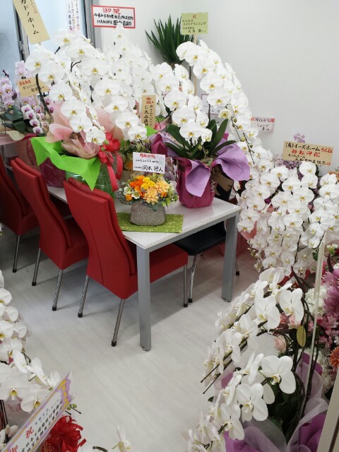 f:id:haucomi:20140403121824j:image:w360