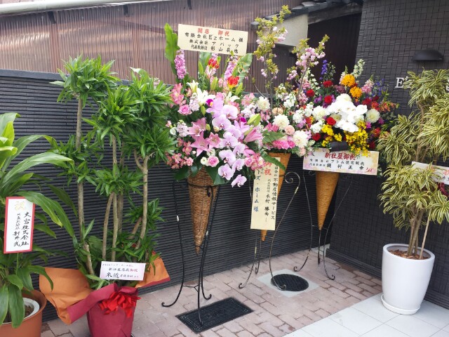 f:id:haucomi:20140403121952j:image:w360
