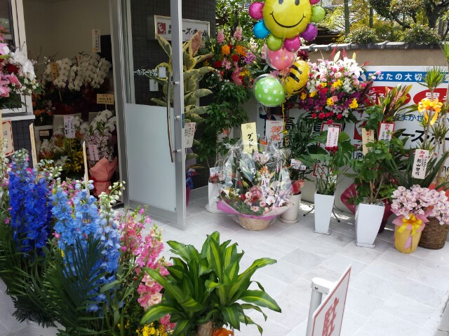 f:id:haucomi:20140403121957j:image:w360