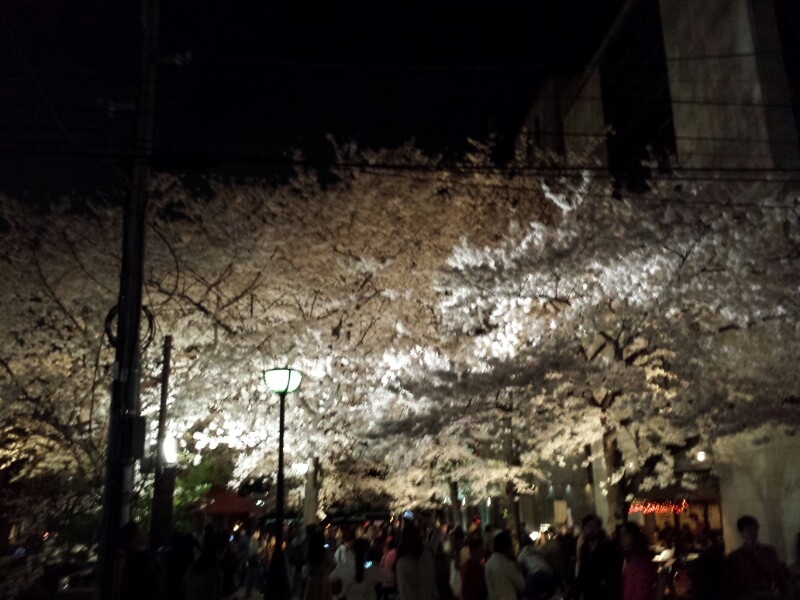 f:id:haucomi:20140403201425j:image:w360