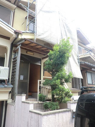 f:id:haucomi:20140410122648j:image:w360