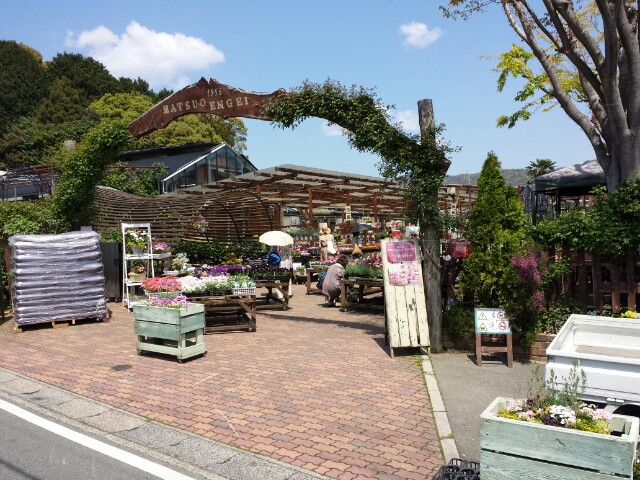 f:id:haucomi:20140423110143j:image:w360