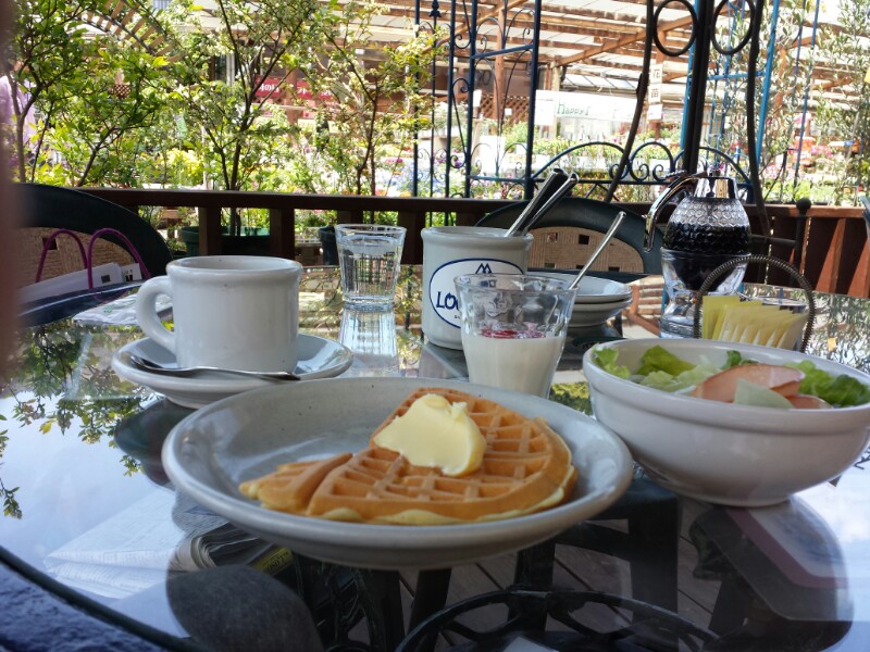 f:id:haucomi:20140423111611j:image:w360