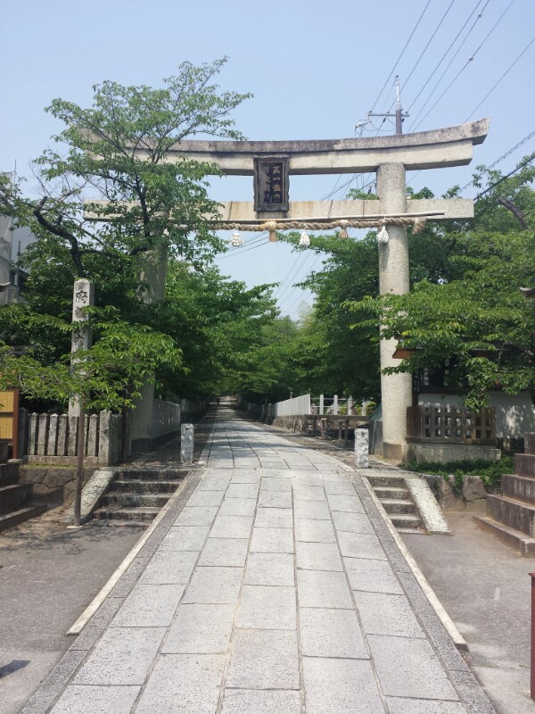 f:id:haucomi:20140531102917j:image:w360