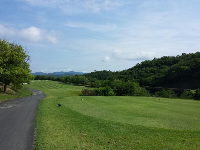 f:id:haucomi:20140624091255j:image:w360