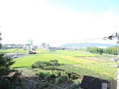 f:id:haucomi:20140907080509j:image:w360 f:id:haucomi:20140907080509j:image:w360
