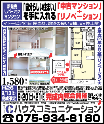 f:id:haucomi:20140909184925j:image:w640