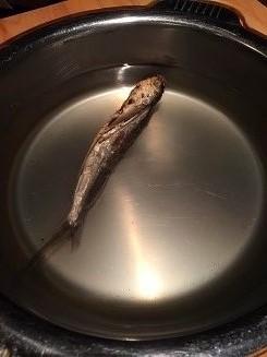 f:id:haucomi:20141212084933j:image:w360