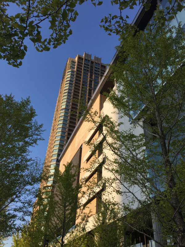 f:id:haucomi:20150928203805j:image:w360 f:id:haucomi:20150928203805j:image:w360