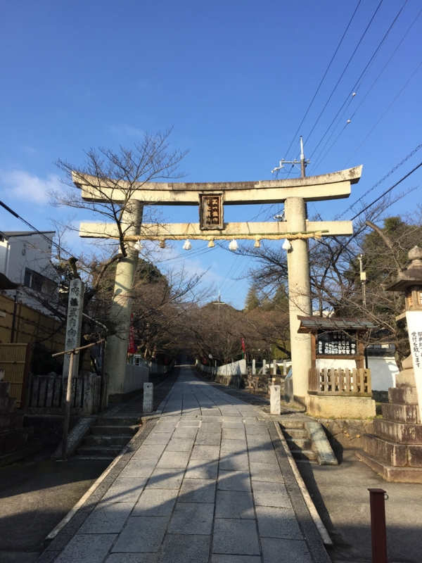 f:id:haucomi:20160131091524j:image:w360